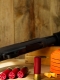 Trial package / 3 guns/29 bullets